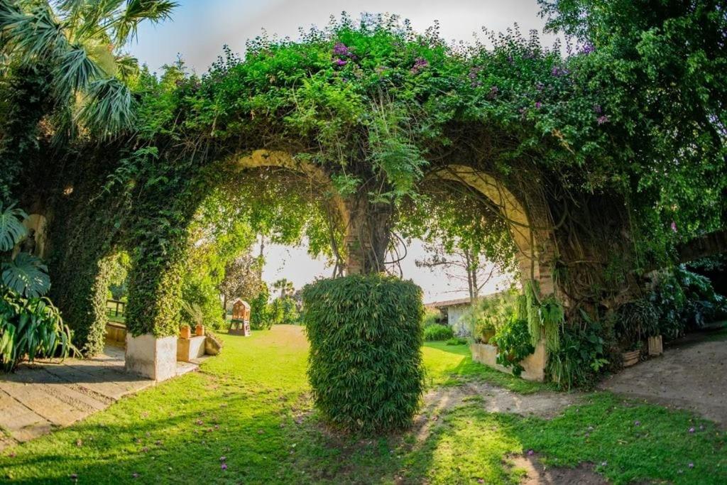 Finca San Javier El Arenal  外观 照片